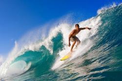 开云平台-美利坚风暴席卷E组，美国完胜喀麦隆，哈兰德表现抢眼